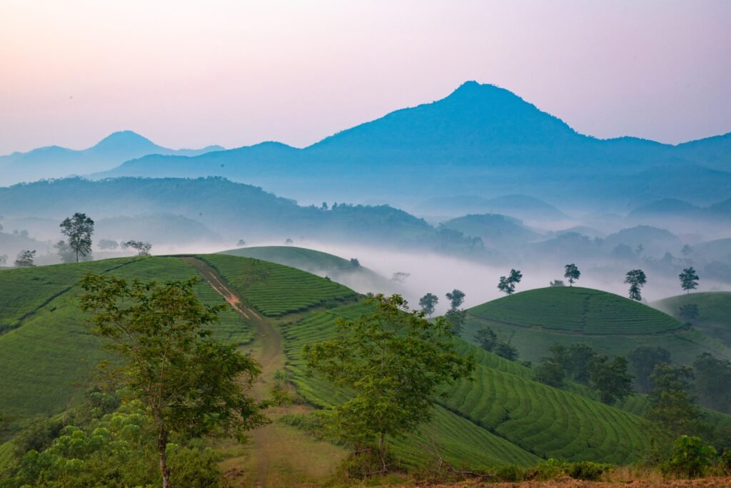 26057260 landscape 7057202